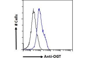 ABIN190863 Flow cytometric analysis of paraformaldehyde fixed HEK293 cells (blue line), permeabilized with 0.