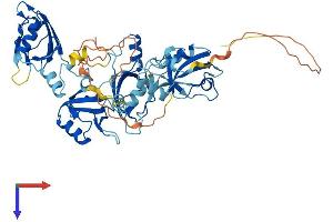 AlphaFold protein structure predicition of Human Recombinant PDZK1 Protein, UniprotID Q5T2W1