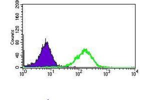 Flow cytometric analysis of HepG2 cells using CD33 mouse mAb (green) and negative control (purple).