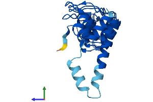 AlphaFold protein structure predicition of Mouse Recombinant Ankrd22 Protein, UniprotID Q9D3J5