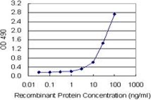 Sandwich ELISA detection sensitivity ranging from 1 ng/mL to 100 ng/mL. (SPP1 (Humain) Matched Antibody Pair)