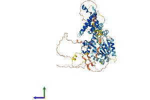 AlphaFold protein structure predicition of Mouse Recombinant Rad17 Protein, UniprotID Q6NXW6