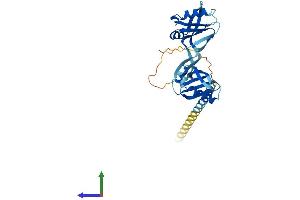 AlphaFold protein structure predicition of Mouse Recombinant Nmi Protein, UniprotID O35309