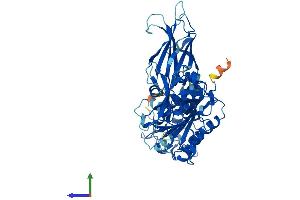 AlphaFold protein structure predicition of Human Recombinant CPNE3 Protein, UniprotID O75131