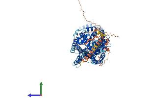 AlphaFold protein structure predicition of Human Recombinant SLC6A17 Protein, UniprotID Q9H1V8