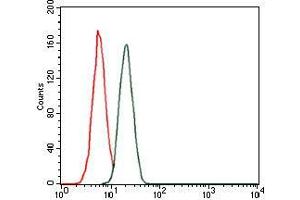 Flow cytometric analysis of MCF-7 cells using troponin T2 mouse mAb (green) and negative control (red).