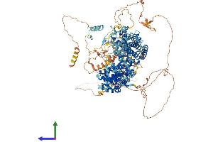 AlphaFold protein structure predicition of Mouse Recombinant Rbl2 Protein, UniprotID Q64700