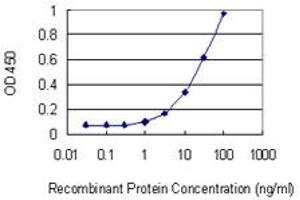 Detection limit for recombinant GST tagged PENK is 1 ng/ml as a capture antibody. (Enkephalin anticorps  (AA 1-267))