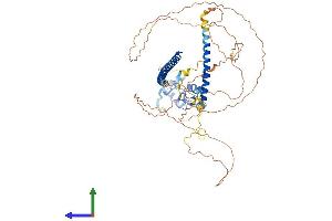 AlphaFold protein structure predicition of Human Recombinant RNF168 Protein, UniprotID Q8IYW5