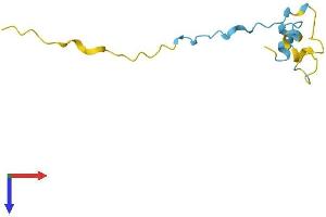 AlphaFold protein structure predicition of Mouse Recombinant Pde6h Protein, UniprotID P61249