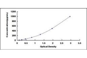 Typical standard curve (IL12B Kit ELISA)