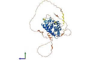 AlphaFold protein structure predicition of Mouse Recombinant Rxrb Protein, UniprotID P28704
