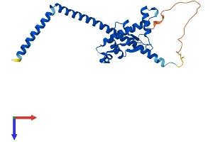 Spindle and Kinetochore Associated Complex Subunit 1 (SKA1) (AA 1-254) protein (His tag)
