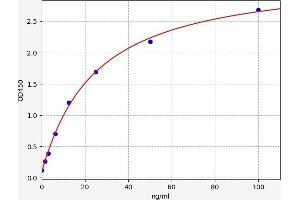 Meningioma Expressed Antigen 5 (Hyaluronidase) (MGEA5) ELISA Kit
