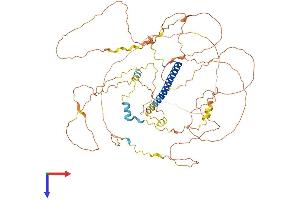AlphaFold protein structure predicition of Human Recombinant CRTC3 Protein, UniprotID Q6UUV7