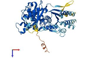 AlphaFold protein structure predicition of Human Recombinant TRIP13 Protein, UniprotID Q15645