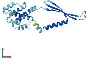 AlphaFold protein structure predicition of Mouse Recombinant Commd2 Protein, UniprotID Q8BXC6