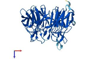 AlphaFold protein structure predicition of Mouse Recombinant Klhdc8a Protein, UniprotID Q91XA8
