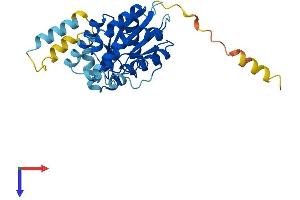AlphaFold protein structure predicition of Mouse Recombinant Gpn3 Protein, UniprotID Q9D3W4