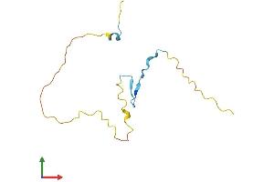 AlphaFold protein structure predicition of Mouse Recombinant Prr15 Protein, UniprotID Q9D1T5