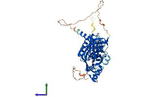 AlphaFold protein structure predicition of Human Recombinant FBXO31 Protein, UniprotID Q5XUX0