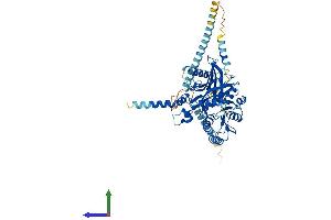 AlphaFold protein structure predicition of Human Recombinant CSGALNACT2 Protein, UniprotID Q8N6G5