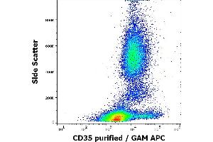Flow cytometry surface staining pattern of human peripheral whole blood stained using anti-human CD35 (E11) purified antibody (concentration in sample 3 μg/mL, GAM APC). (CD35 anticorps)
