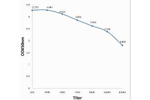 Antigen: Cox A16 polymerase3D, 0. (Coxsackie Virus A16 Polymerase3D anticorps)