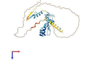 AlphaFold protein structure predicition of Human Recombinant OVOL2 Protein, UniprotID Q9BRP0