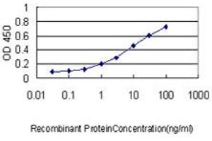 Detection limit for recombinant GST tagged POLA2 is approximately 0. (POLA2 anticorps  (AA 1-598))