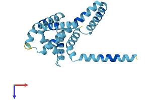 AlphaFold protein structure predicition of Mouse Recombinant Arl6ip1 Protein, UniprotID Q9JKW0