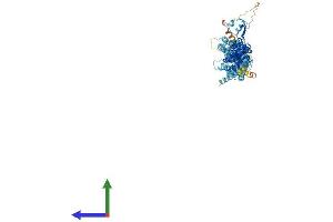 AlphaFold protein structure predicition of Mouse Recombinant Exoc6b Protein, UniprotID A6H5Z3