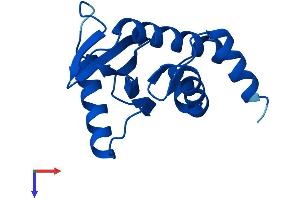 AlphaFold protein structure predicition of Mouse Recombinant Ap2s1 Protein, UniprotID P62743