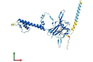 AlphaFold protein structure predicition of Human Recombinant KCNJ15 Protein, UniprotID Q99712