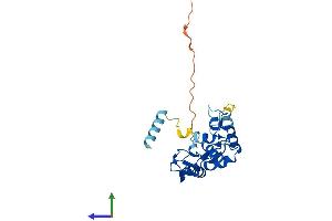 AlphaFold protein structure predicition of Mouse Recombinant Rnf114 Protein, UniprotID Q9ET26