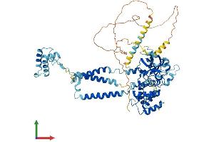 AlphaFold protein structure predicition of Mouse Recombinant Sec63 Protein, UniprotID Q8VHE0
