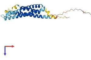 AlphaFold protein structure predicition of Mouse Recombinant Ms4a3 Protein, UniprotID Q920C4