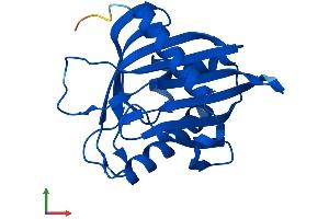 AlphaFold protein structure predicition of Human Recombinant STARD4 Protein, UniprotID Q96DR4
