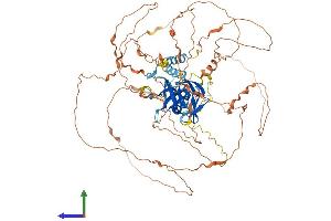 AlphaFold protein structure predicition of Mouse Recombinant Bahd1 Protein, UniprotID Q497V6