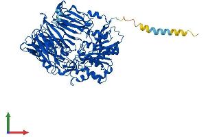 AlphaFold protein structure predicition of Human Recombinant DPP4 Protein, UniprotID P27487