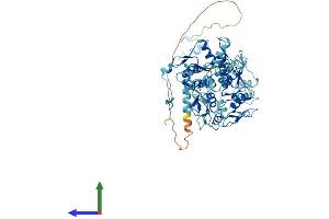 AlphaFold protein structure predicition of Human Recombinant ZNF709 Protein, UniprotID Q8N972