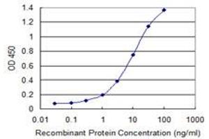 Detection limit for recombinant GST tagged KIAA1199 is 0.