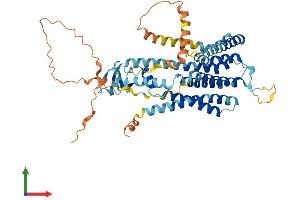 AlphaFold protein structure predicition of Human Recombinant TMEM39B Protein, UniprotID Q9GZU3
