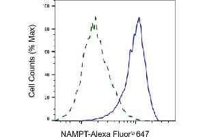Flow cytometric analysis of NAMPT expression in HepG2 cells using NAMPT antibody (ABIN7799595), 1:2,000). (Recombinant NAMPT anticorps)