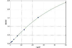 Coenzyme Q10 Homolog A (COQ10A) ELISA Kit