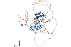 AlphaFold protein structure predicition of Human Recombinant SNRK Protein, UniprotID Q9NRH2