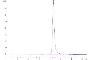 The purity of Cynomolgus CD36 is greater than 95 % as determined by SEC-HPLC.
