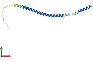 AlphaFold protein structure predicition of Human Recombinant BET1 Protein, UniprotID O15155