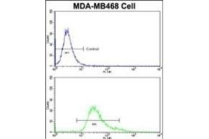 Flow cytometric analysis of MDA-M cells using HSP Antibody (Center)(bottom histogram) compared to a negative control cell (top histogram)FITC-conjugated goat-anti-rabbit secondary antibodies were used for the analysis. (BRISC and BRCA1 A Complex Member 1 (BABAM1) (AA 116-143) anticorps)