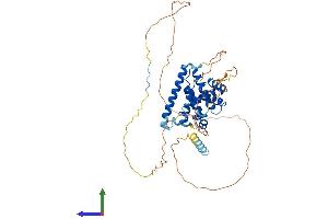 AlphaFold protein structure predicition of Mouse Recombinant Bcl2l13 Protein, UniprotID P59017